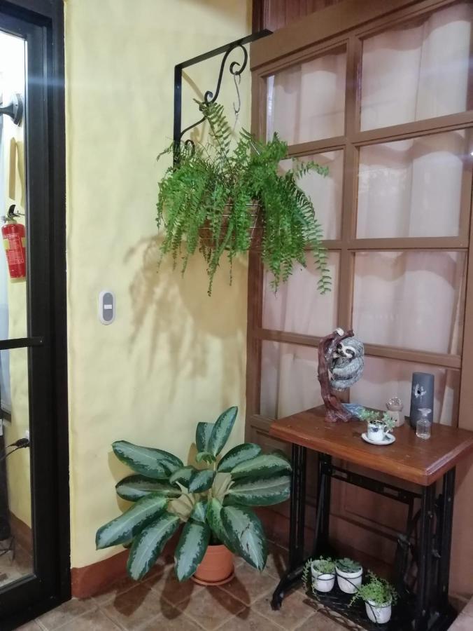Hotel Santa Fe B&B モンテベルデ エクステリア 写真