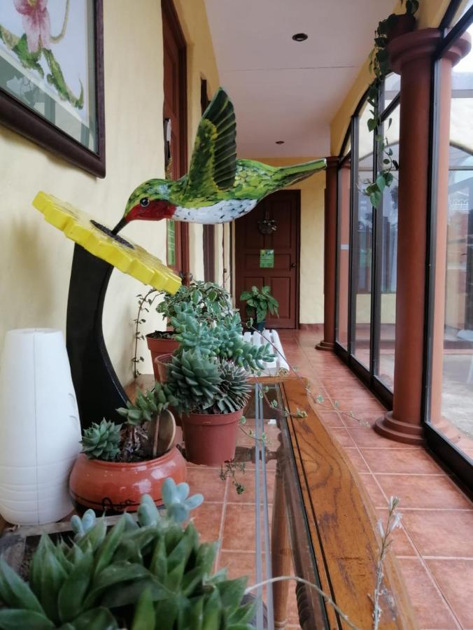 Hotel Santa Fe B&B モンテベルデ エクステリア 写真